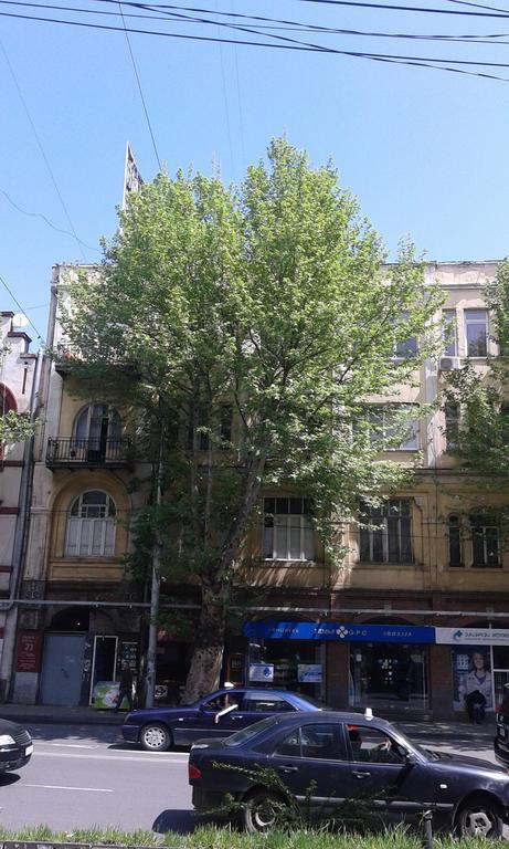 Vera Garden Apartment Tbilisi Luaran gambar
